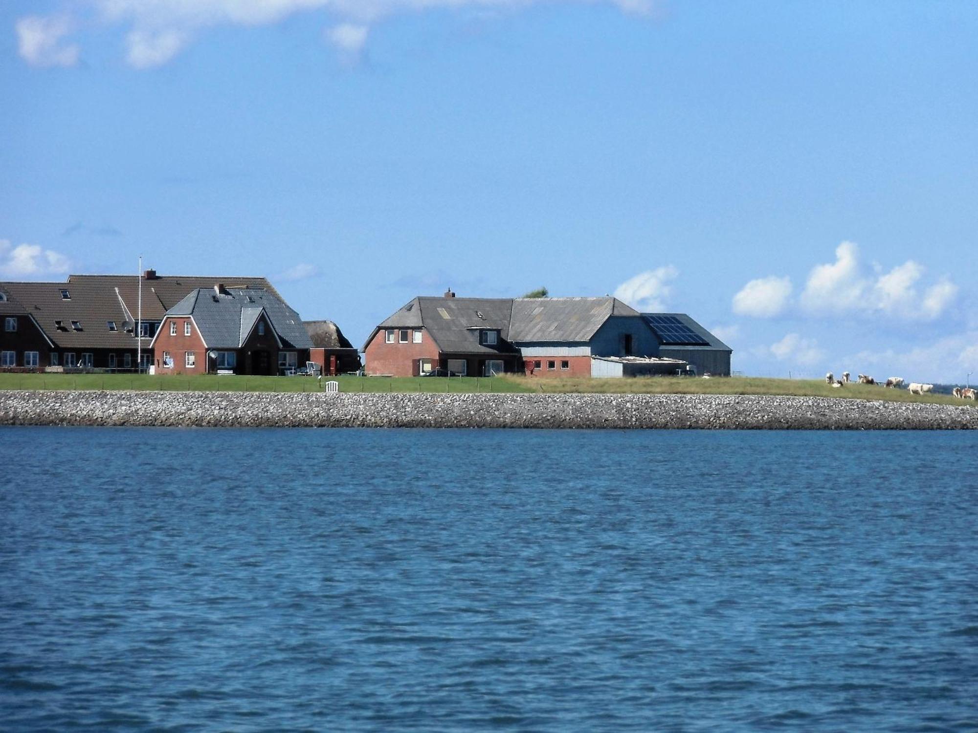 Haus Halligblick, Ferienwohnungen Am Wattenmeer, Whg Hamburger Hallig Dagebüll المظهر الخارجي الصورة